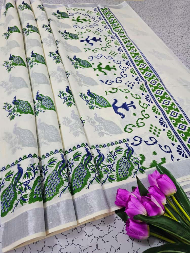 Printed work cotton Saree 2